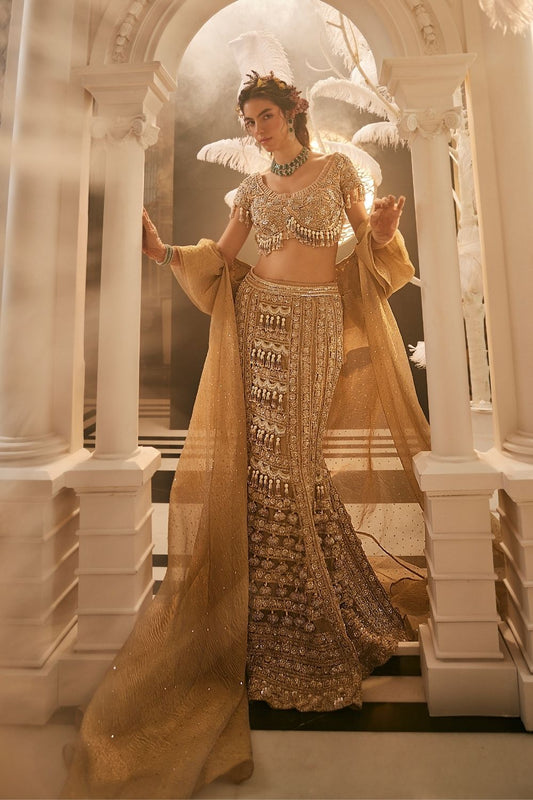 Hera Golden Embellished Tissue Mermaid Cut Lehenga and Blouse with Cape