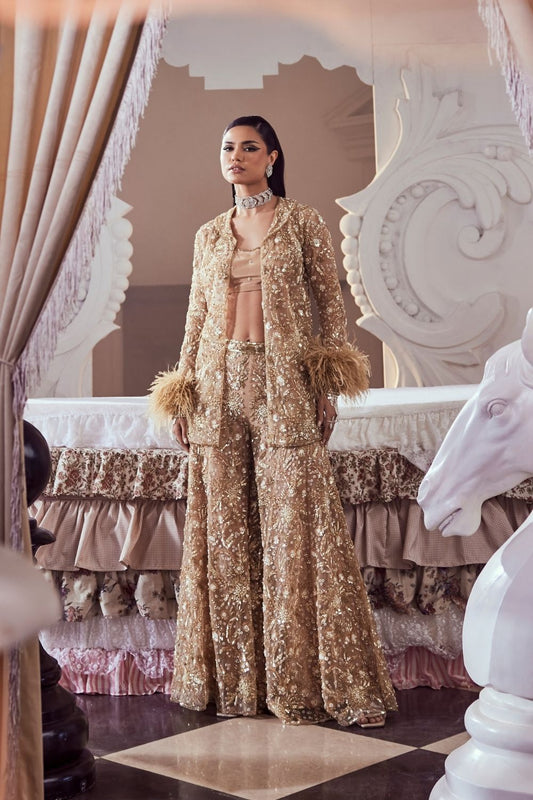 Violetta Golden Hand Embellished Net Co-ord Set