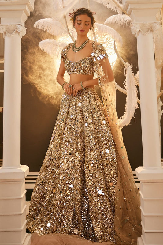 Minerva Gold Embellished Net Lehenga and Blouse with Trail