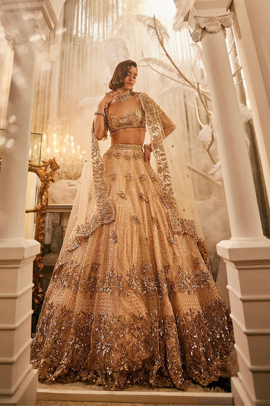 Nike Ivory Embellished Net Lehenga and Blouse with Dupatta