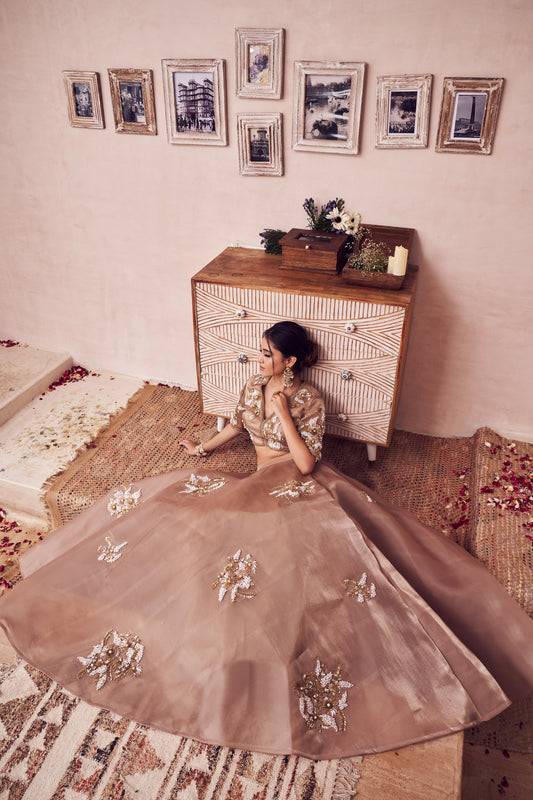 Glass Gold Radiance Glass Organza Lining Shantoon Embroidery Lehenga Set