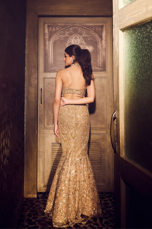 Elysian Golden Net Fishcut Gown
