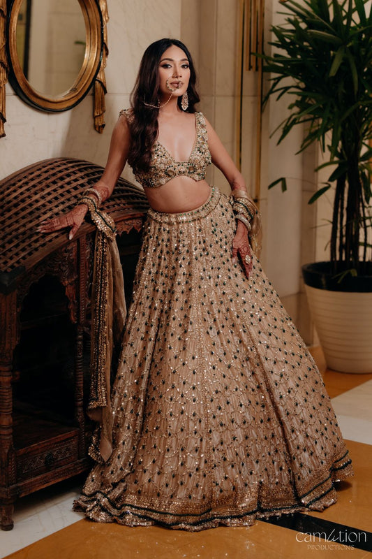 Cipia Artul in Emerald Eclipse