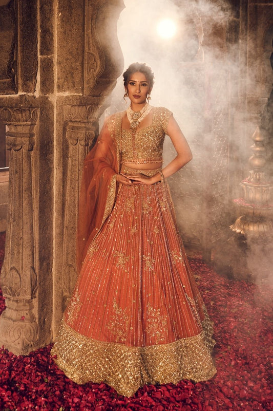 Noor Jahan Net Lining Shantoon Bridal Lehenga Set