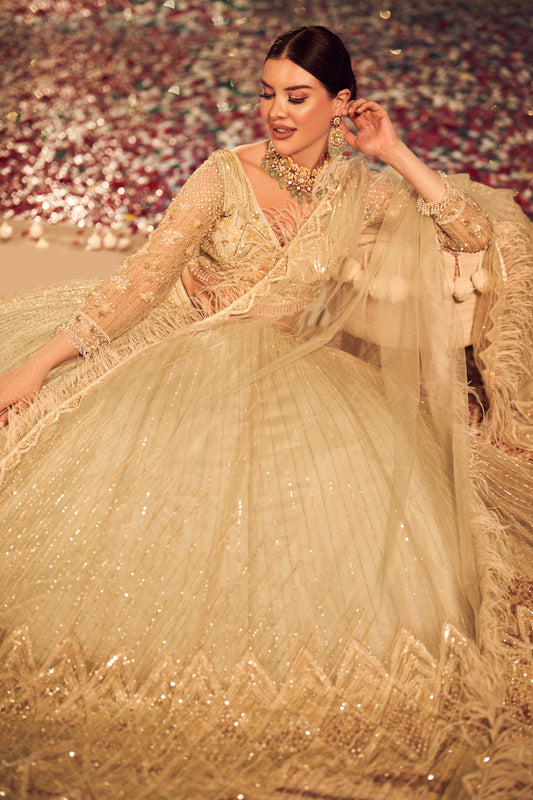 shett no 77 (8155915157750)