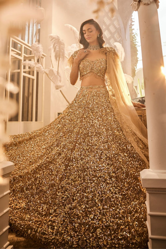 Terra Gold Embellished Net Lehenga and Blouse with Trail