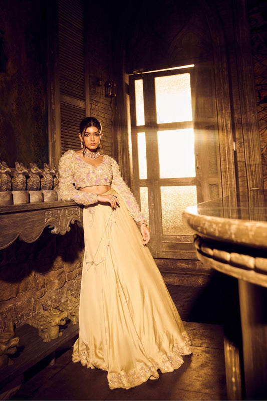 Ara Green Ivory Ombre Embellished V-neck Satin Organza Net Skirt with Crop Top