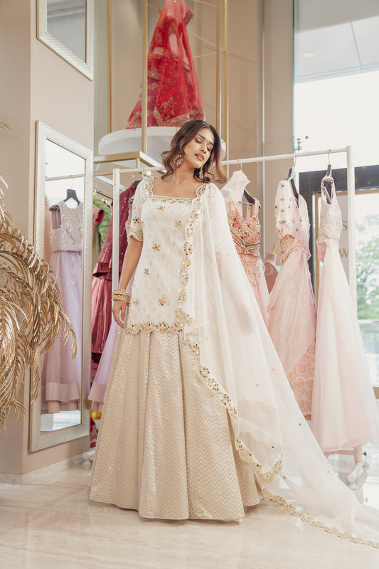 Mirror Banarasi Lehenga & Kurti Set (6851312091319)